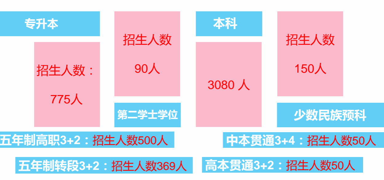  迎新特辑（四）｜玉溪师范学院2024级萌新数据大揭秘！  